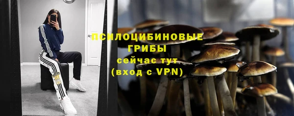 стафф Липки