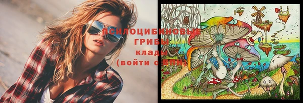 стафф Липки