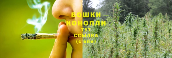 стафф Липки