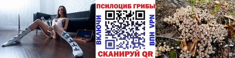Псилоцибиновые грибы Psilocybe  Купить где  Харовск 